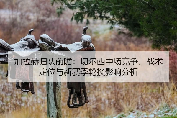 jia-la-he-gui-dui-qian-zhan-qie-er-xi-zhong-chang-jing-zheng-zhan-shu-ding-wei-yu-xin-sai-ji-lun-huan-ying-xiang-fen-xi-1-702.jpg